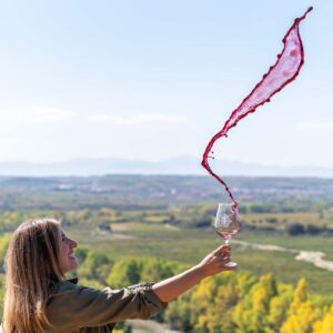 Bodegas Valdelana - Bodega de vino de Rioja Alavesa - Cliente El Fabricante de Nubes
